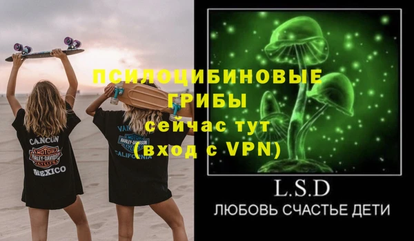 ешки Михайловск