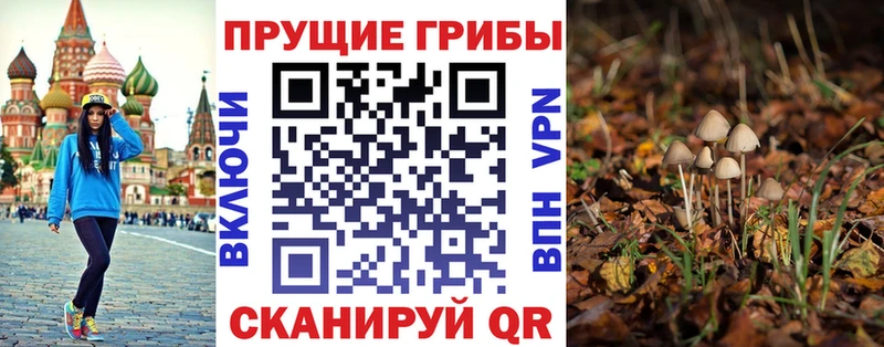 Галлюциногенные грибы мухоморы  дарк нет телеграм  Южно-Сухокумск 